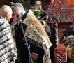 Кралот на новозеландските Маори бара основни човекови права- за китовите 