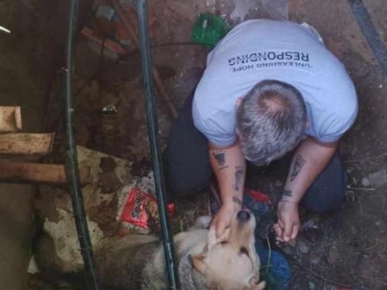 ЦУК: Куче паднато во шахта ги остави без интернет „Филип Втори“ и „Букурешт“