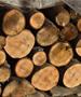 Кумановка измамена за 6.000 денари за набавка на огревни дрва