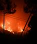 Пожар во Калифорнија, уништени повеќе од 130 згради, 13. најголем во историјата на државата