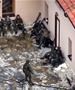 САД го предупредија Вучиќ: Невидено е толкаво трупање војска на границата со Косово  