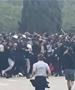 Хаос во Барселона пред натпреварот во ЛШ: Полицијата се судри со навивачите на ПСЖ (ВИДЕО)