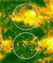 Истовремено експлодираа четири области на Сонцето- дали соларните факели ќе ја погодат Земјата